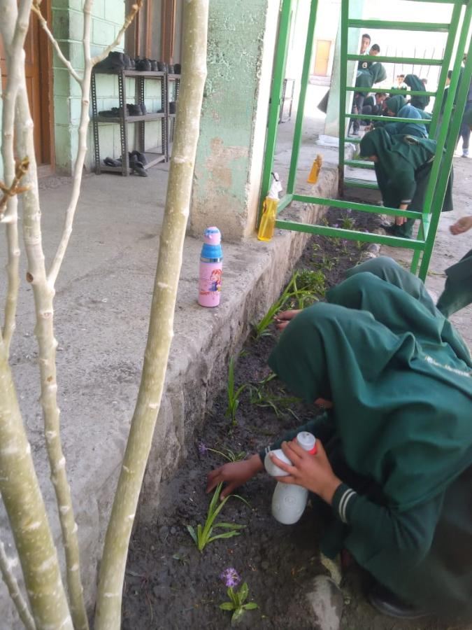 Plantation Drive organised in MPS Kanoor School